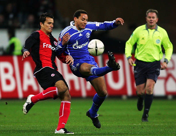 蓝黑军团正 蓝黑军团正